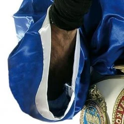 TopTen TOP TEN Boxing Robe - Blue/white, 1919-6