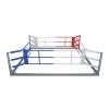 TRAINING FIGHTER Free-Standing Boxing Ring - Steel, 905-0000